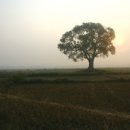 생명의 그물 2 이미지