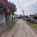 표선리-12 이미지