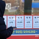 서초플랫폼공인중개사사무소 이미지