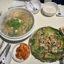 조조칼국수 - 수원시 영통구 광교호수공원로 277 | [내돈내산] 광교 칼국수 맛집 조조칼국수 솔직 후기ෆ