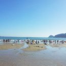 경남-남해-송정해수욕장 이미지