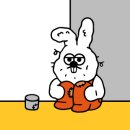 모로아일랜드