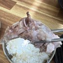 넉둥베기고사리육개장 | 제주도 도민들도 다닌다는 접짝뼈국, 고사리육개장 맛집 [제주 넉둥베기] 내돈내산 내돈내먹 후기!