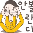 타일명가 이미지