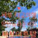 지에스25 사보이호텔점 | 🤰세부 태교여행🏖️ 사보이호텔 &amp; 막탄 뉴타운 비치 완전 정복