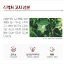 탈모완화샴푸 닥터그라프트 아라네라 샴푸로 머릿결까지 부드러워지다