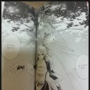 씨엘(Ciel) 이미지