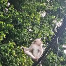 리버(river) | 우붓 요가반 Yoga Barn 플라잉 요가 Fly High Yoga - Ricardo 수업 후기 (River Dome 리버 돔 스튜디오)