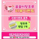 꿀꿀이탕후루 이미지
