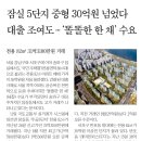 만물부동산