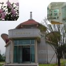 무궁화경남 이미지