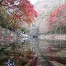 강천마을 | 강천산 단풍도 식후경이라 강천풍경식당