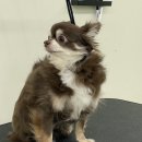 몽스빌리지 이미지