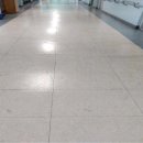 금곡초등학교 이미지
