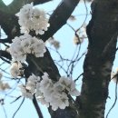 나산