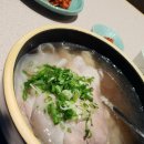 명품돼지 이미지