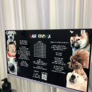 방배로25길 54-9 | [대구] 수성못 람페로마 크롬하츠 실리크롬 몰드 네일 아크릴연장 후기 ( 대구 아크릴네일 대구 손톱연장 )