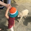 미나목장 이미지