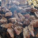 애견천국 이미지