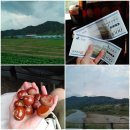 득산농장 네이버블로그