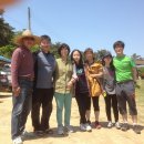 양유리민박 Daum카페