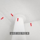 리베하우스 이미지