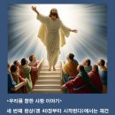 사랑이야기 이미지