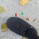 2311