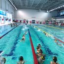 배방파인트리수영장 이미지