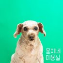 뭉치네 미용실 이미지