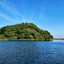 식산봉의 황근자생지 및 상록활엽수림 | 가볼만한곳 오조리 오조리마을 오조포구 식산봉 황근자생지 철새도 보고 제주국가유산방문의해 스탬프...