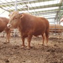 늘찬목장 이미지