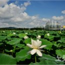 복룡리 화장실 이미지