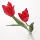 채도 이미지