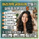 메디타스 | 머리카락 굵어지게 만들기, 실제 효과 본 방법 5가지와 3~12개월 현실 변화