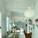 하비펫샵 이미지