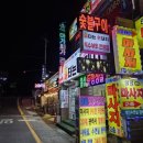 불타는 돈돼지