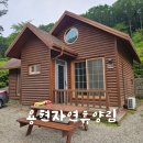 용현자연휴양림 | 충남서산 용현자연휴양림 304호 굴피나무 아이랑 숙박후기