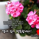 2025년 6월 22일_주일예배_서로를 향한 인사_우리 성도님 곁에 있어 행복합니다 주님 곁에 있어 행복합니다 이미지