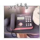 김해 &#34; 장수골 흑염소탕 &#34; 으로