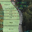 랜드숲 이미지