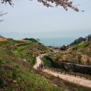 다랭이마을 안내소 앞 이미지