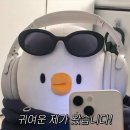 2025년 1월