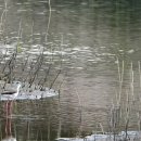 고성리-15 이미지