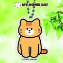 홈캣 이미지
