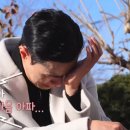 국화라이프 이미지