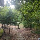 어울림편백펜션 이미지