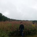 한진목장 이미지