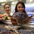 60항공마트 이미지