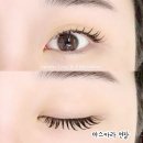 생명의 멜로디 | 검단속눈썹 : 원당동 눈빛살롱 자연스러운 마스카라연장 c컬 솔직후기
